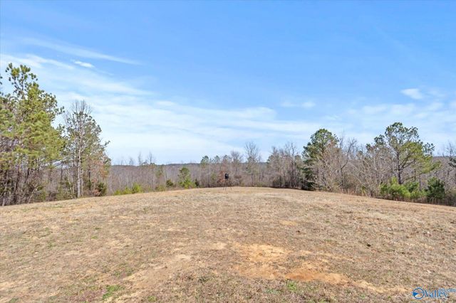 5477 Wyeth Mountain Road, Guntersville, AL 35976