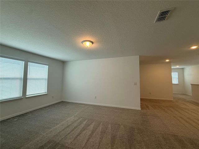 3595 IVY SPRINGS LANE, Land O Lakes, FL 34638