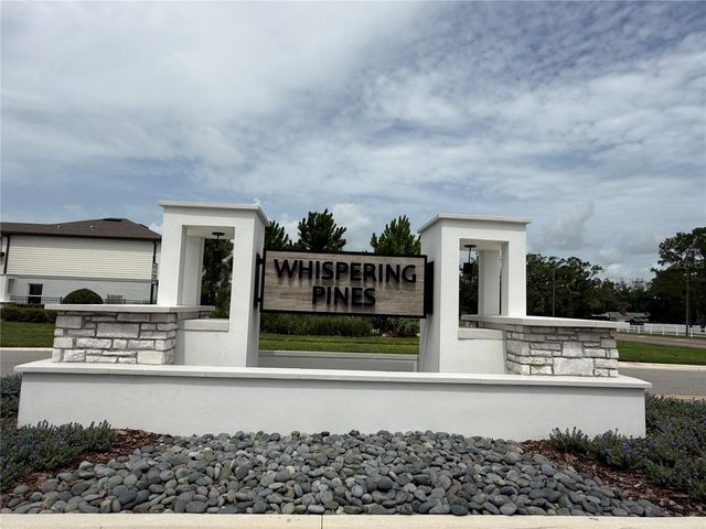 3595 IVY SPRINGS LANE, Land O Lakes, FL 34638