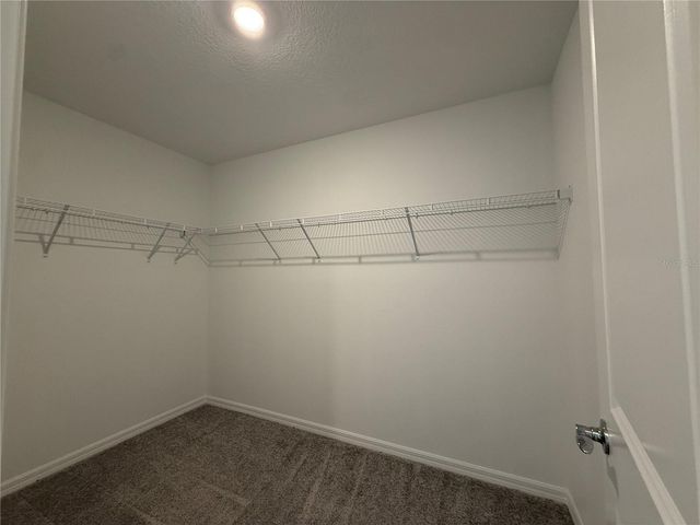 3595 IVY SPRINGS LANE, Land O Lakes, FL 34638