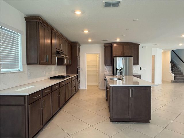3595 IVY SPRINGS LANE, Land O Lakes, FL 34638