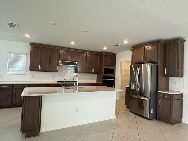 3595 IVY SPRINGS LANE, Land O Lakes, FL 34638