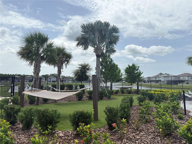 3595 IVY SPRINGS LANE, Land O Lakes, FL 34638