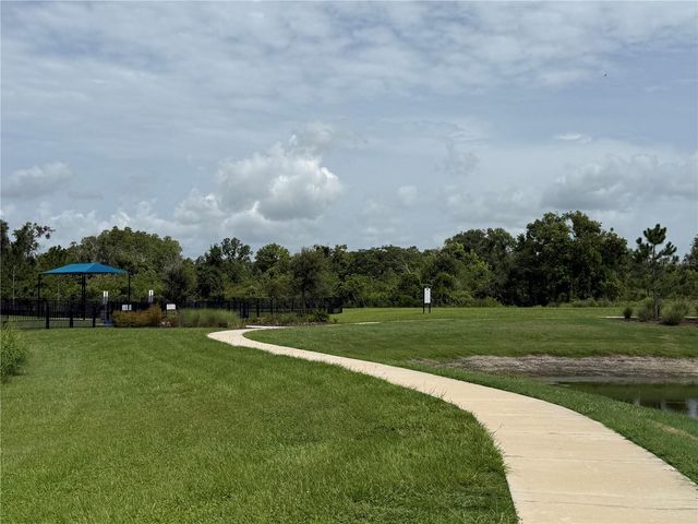 3595 IVY SPRINGS LANE, Land O Lakes, FL 34638