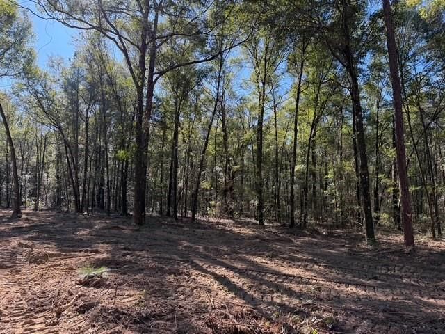 0 Danner Road, Wilmer, AL 36587