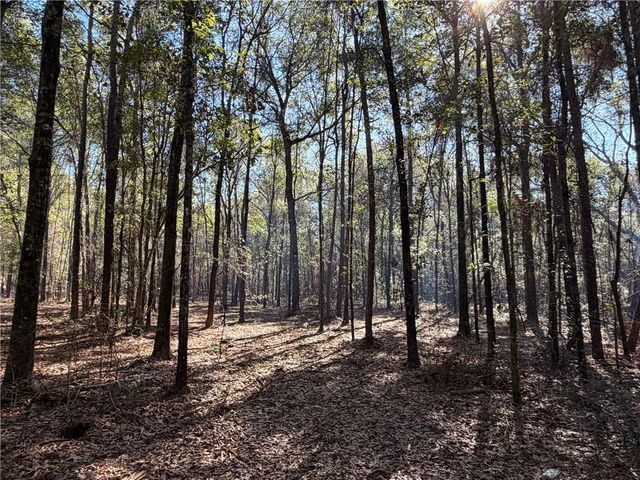 0 Danner Road, Wilmer, AL 36587