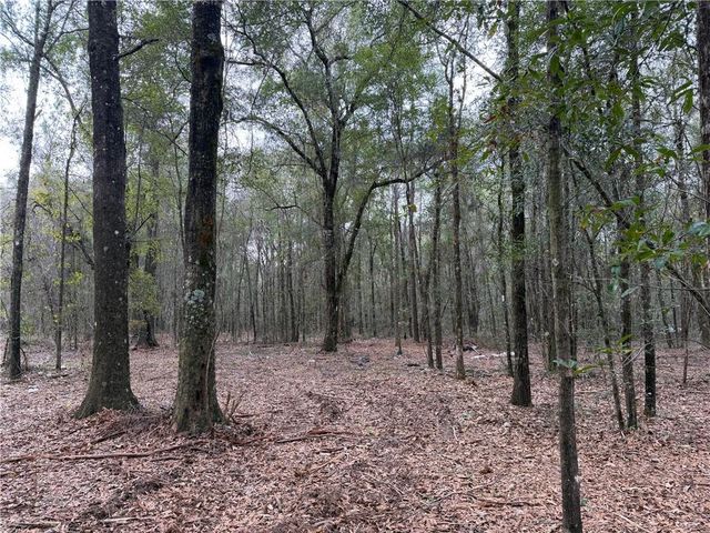 0 Danner Road, Wilmer, AL 36587