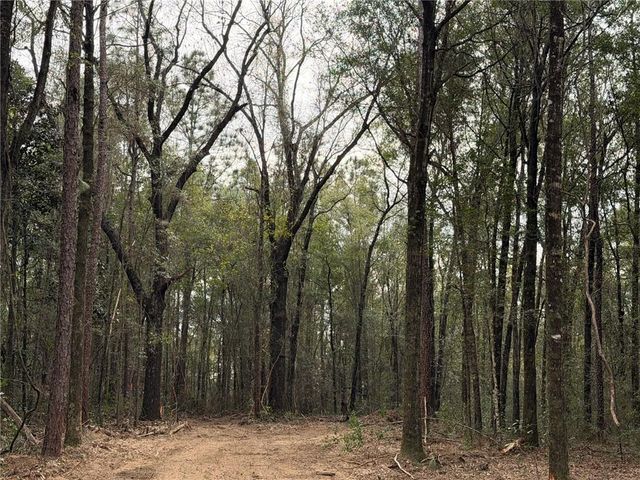 0 Danner Road, Wilmer, AL 36587