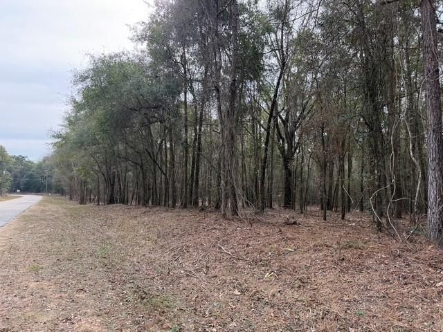 0 Danner Road, Wilmer, AL 36587
