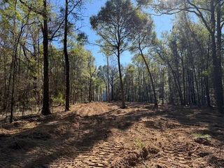 0 Danner Road, Wilmer, AL 36587