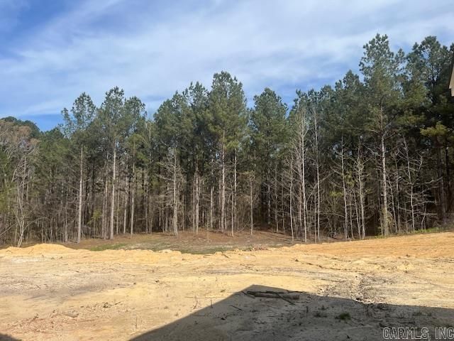 9635 Perry Road, Bauxite, AR 72011