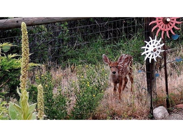 5910 Olympus Ln, Colorado City, CO 81019