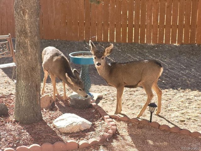 5910 Olympus Ln, Colorado City, CO 81019