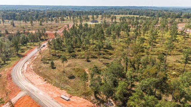 Lot 74 Western Road, Livingston, TX 77351