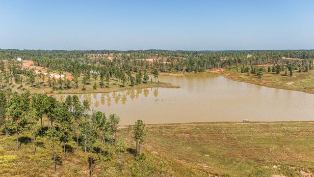 Lot 74 Western Road, Livingston, TX 77351