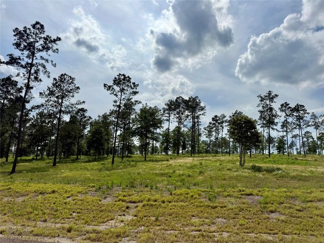 Lot 74 Western Road, Livingston, TX 77351