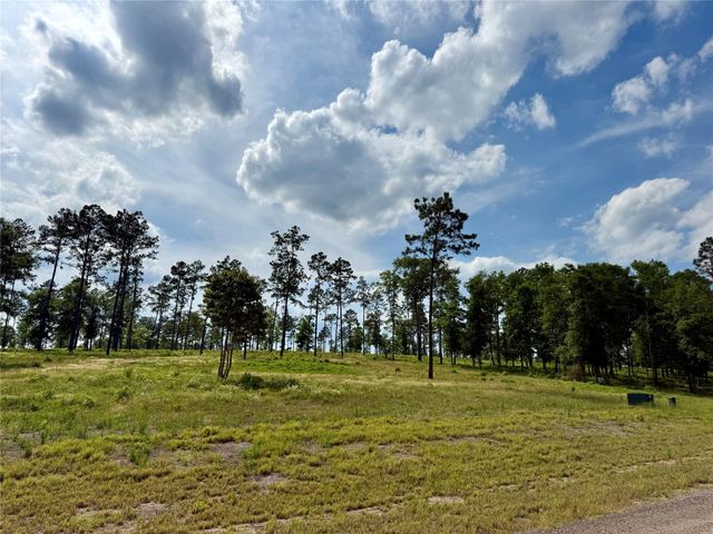 Lot 74 Western Road, Livingston, TX 77351