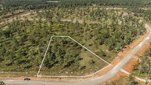 Lot 74 Western Road, Livingston, TX 77351