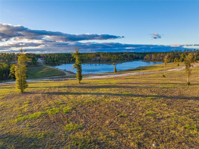Lot 74 Western Road, Livingston, TX 77351
