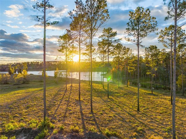 Lot 74 Western Road, Livingston, TX 77351