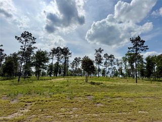 Lot 74 Western Road, Livingston, TX 77351