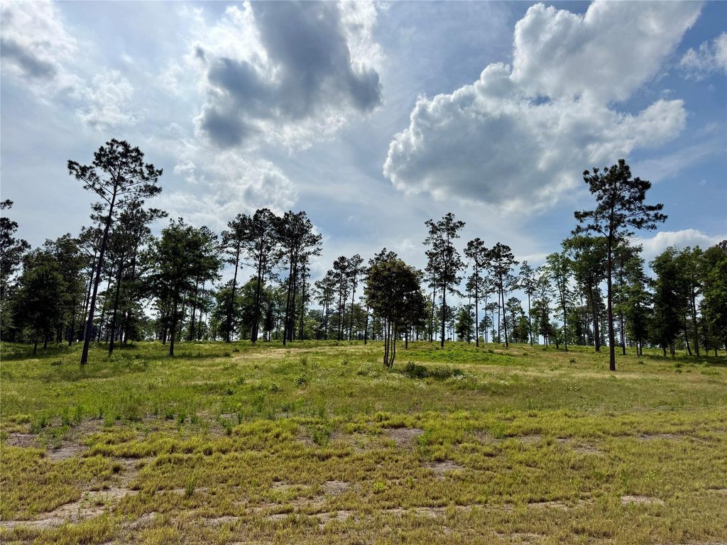 Lot 74 Western Road, Livingston, TX 77351