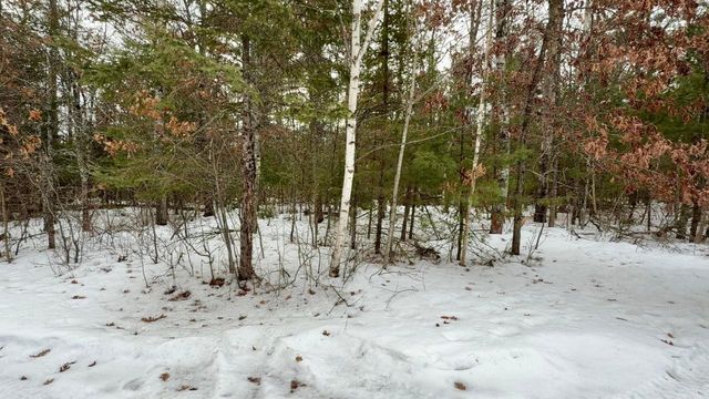 N11956 JUNGLE JIMS LANE, Silver Cliff, WI 54104