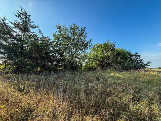 TBD County Road 3444, Honey Grove, TX 75446