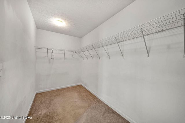 7905 Jade Green Way, Louisville, KY 40291