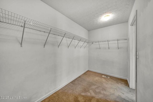 7905 Jade Green Way, Louisville, KY 40291