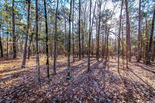 000 WOODS LANE, Clinton, AR 72031
