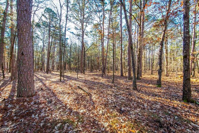 000 WOODS LANE, Clinton, AR 72031