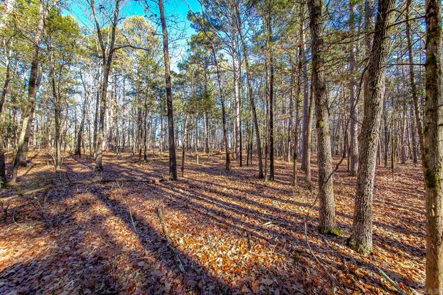 000 WOODS LANE, Clinton, AR 72031