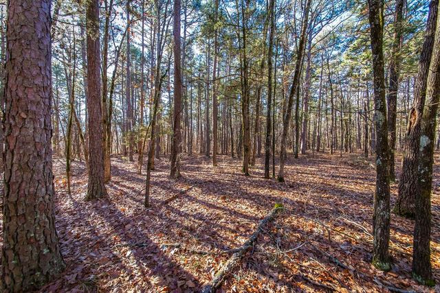 000 WOODS LANE, Clinton, AR 72031