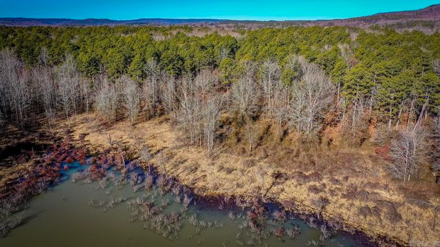000 WOODS LANE, Clinton, AR 72031