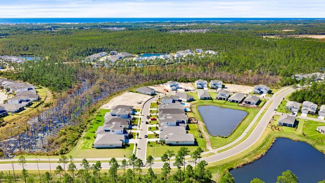 33 Dunns Circle, Inlet Beach, FL 32461