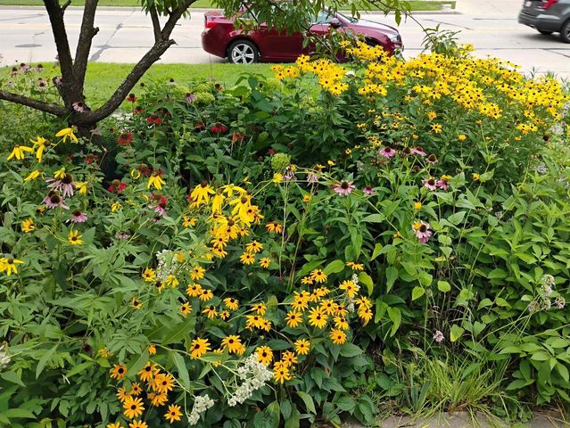 846 9TH STREET, Green Bay, WI 54304