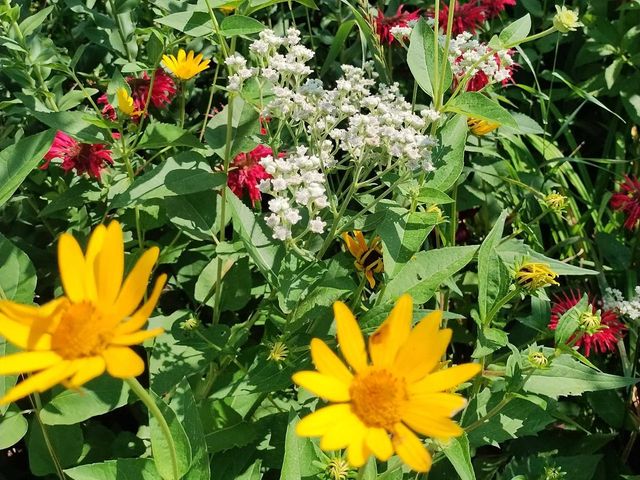 846 9TH STREET, Green Bay, WI 54304