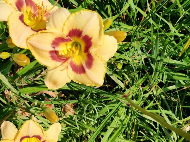 846 9TH STREET, Green Bay, WI 54304