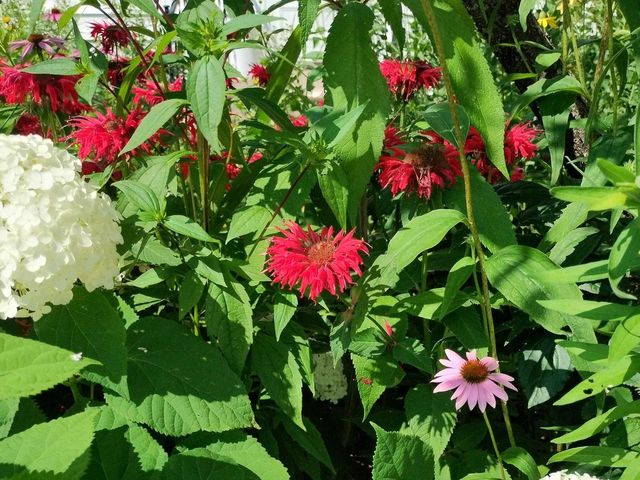 846 9TH STREET, Green Bay, WI 54304