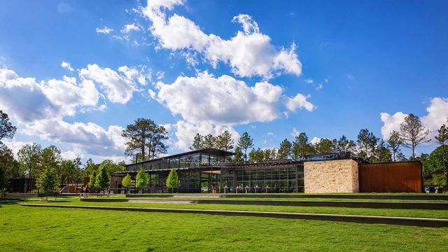 134 Hickory Forest Court, Willis, TX 77318