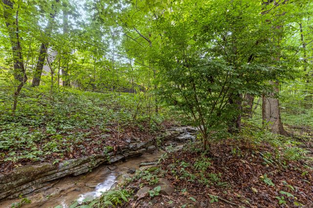 2917 Blue Teal Lane, Signal Mountain, TN 37377
