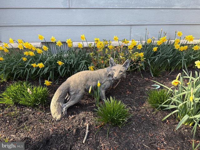 5995 ELSTON SHORE RD, Neavitt, MD 21652