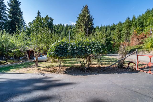 5339 Hardscrabble Road, Drain, OR 97435