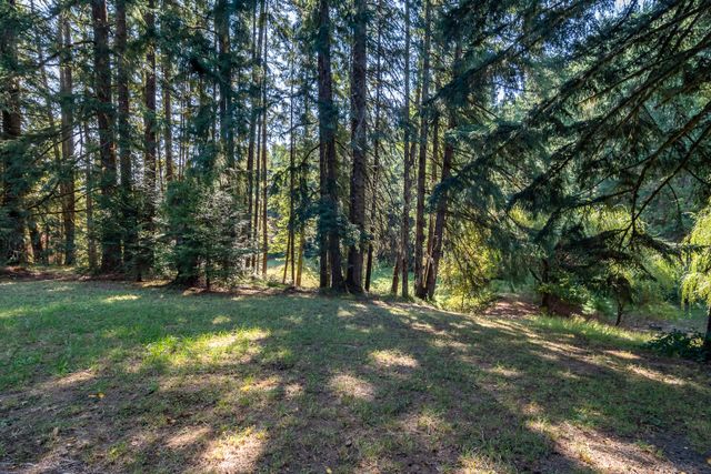 5339 Hardscrabble Road, Drain, OR 97435