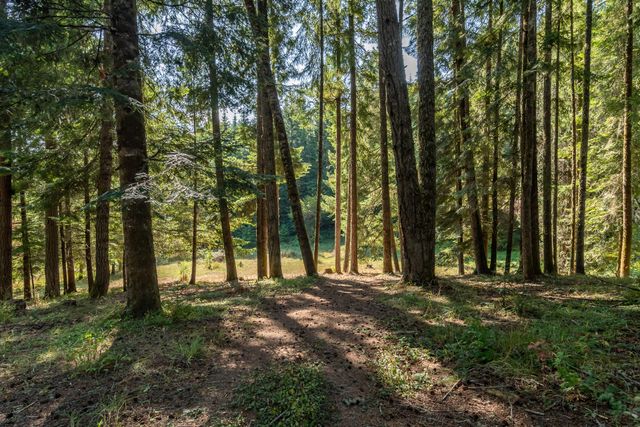 5339 Hardscrabble Road, Drain, OR 97435