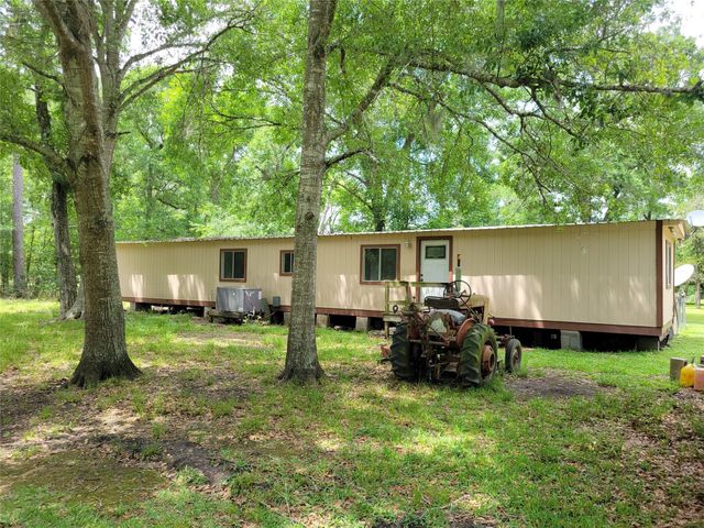 20402 Birchmont Drive, Guy, TX 77444