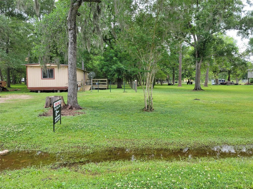 20402 Birchmont Drive, Guy, TX 77444