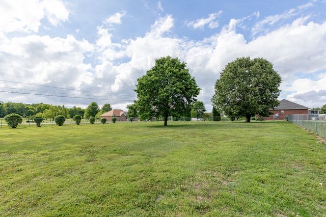 443 Clearview Rd, Cottontown, TN 37048