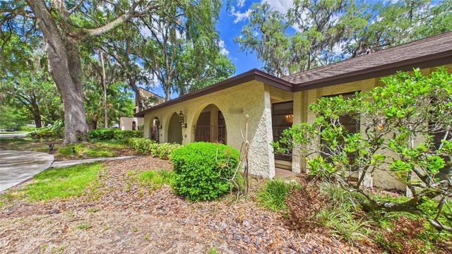 1116 N RIVERHILLS DRIVE, Temple Terrace, FL 33617